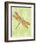 Dragonfly Wings-Bee Sturgis-Framed Art Print