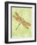 Dragonfly Wings-Bee Sturgis-Framed Art Print