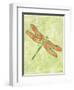 Dragonfly Wings-Bee Sturgis-Framed Art Print