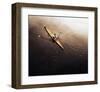 Dragonfly-null-Framed Art Print