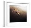 Dragonfly-null-Framed Art Print