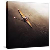 Dragonfly-Fulvio Pellegrini-Stretched Canvas