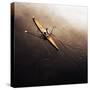 Dragonfly-Fulvio Pellegrini-Stretched Canvas