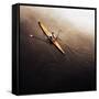 Dragonfly-Fulvio Pellegrini-Framed Stretched Canvas