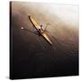 Dragonfly-Fulvio Pellegrini-Stretched Canvas