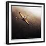 Dragonfly-Fulvio Pellegrini-Framed Photographic Print