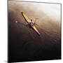 Dragonfly-Fulvio Pellegrini-Mounted Photographic Print