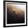 Dragonfly-Fulvio Pellegrini-Framed Photographic Print