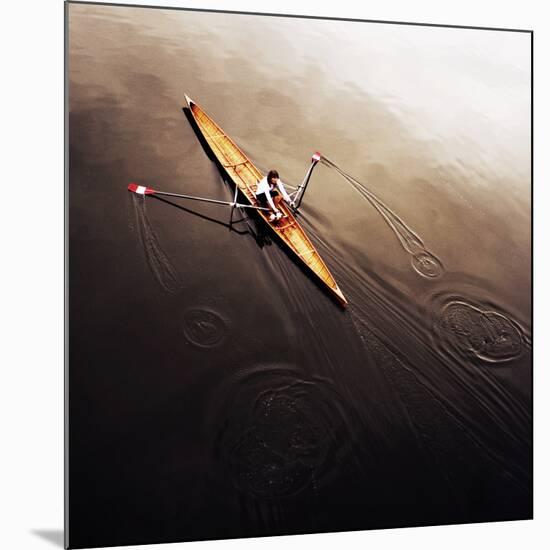 Dragonfly-Fulvio Pellegrini-Mounted Photographic Print