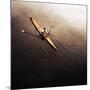 Dragonfly-Fulvio Pellegrini-Mounted Photographic Print