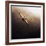 Dragonfly-Fulvio Pellegrini-Framed Photographic Print