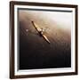 Dragonfly-Fulvio Pellegrini-Framed Photographic Print