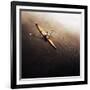 Dragonfly-Fulvio Pellegrini-Framed Photographic Print