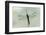 Dragonfly-Gary Carter-Framed Photographic Print