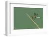 Dragonfly-Gary Carter-Framed Photographic Print