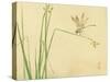 Dragonfly-Bairei Kono-Stretched Canvas