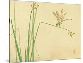 Dragonfly-Bairei Kono-Stretched Canvas