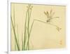 Dragonfly-Bairei Kono-Framed Giclee Print