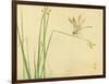 Dragonfly-Bairei Kono-Framed Giclee Print