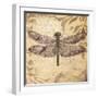 Dragonfly-Patricia Pinto-Framed Art Print