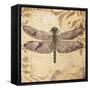 Dragonfly-Patricia Pinto-Framed Stretched Canvas