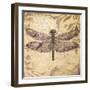 Dragonfly-Patricia Pinto-Framed Premium Giclee Print