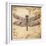 Dragonfly-Patricia Pinto-Framed Premium Giclee Print