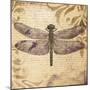 Dragonfly-Patricia Pinto-Mounted Premium Giclee Print