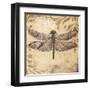 Dragonfly-Patricia Pinto-Framed Art Print