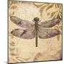 Dragonfly-Patricia Pinto-Mounted Art Print