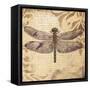 Dragonfly-Patricia Pinto-Framed Stretched Canvas
