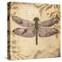 Dragonfly-Patricia Pinto-Stretched Canvas