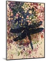 Dragonfly-Sarah Thompson-Engels-Mounted Giclee Print