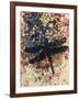 Dragonfly-Sarah Thompson-Engels-Framed Giclee Print