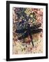 Dragonfly-Sarah Thompson-Engels-Framed Giclee Print