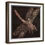 Dragonfly-null-Framed Premium Giclee Print