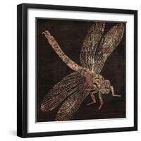 Dragonfly-null-Framed Premium Giclee Print