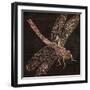 Dragonfly-null-Framed Giclee Print