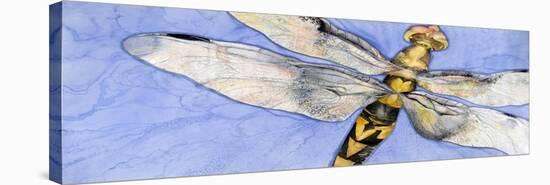 Dragonfly-Sharon Pitts-Stretched Canvas