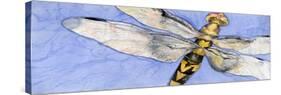 Dragonfly-Sharon Pitts-Stretched Canvas