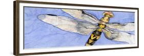 Dragonfly-Sharon Pitts-Framed Giclee Print
