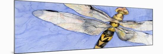 Dragonfly-Sharon Pitts-Mounted Giclee Print