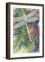 Dragonfly-Michelle Faber-Framed Giclee Print