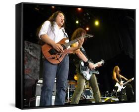 DragonForce-null-Framed Stretched Canvas