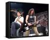 DragonForce-null-Framed Stretched Canvas