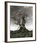 Dragons on a Gnarled Tree-null-Framed Art Print