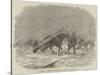 Dragoons Carrying Planks from Balaclava to the Camp-null-Stretched Canvas