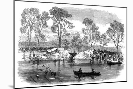 Draining the Serpentine River, Hyde Park, London, 1869-null-Mounted Giclee Print