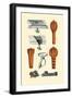 Drains and Sheaths-Jules Porges-Framed Art Print