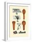 Drains and Sheaths-Jules Porges-Framed Art Print